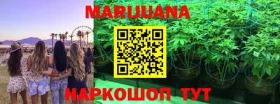 прущие грибы Апрелевка