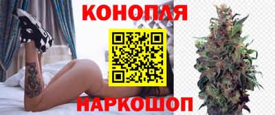 прущие грибы Апрелевка