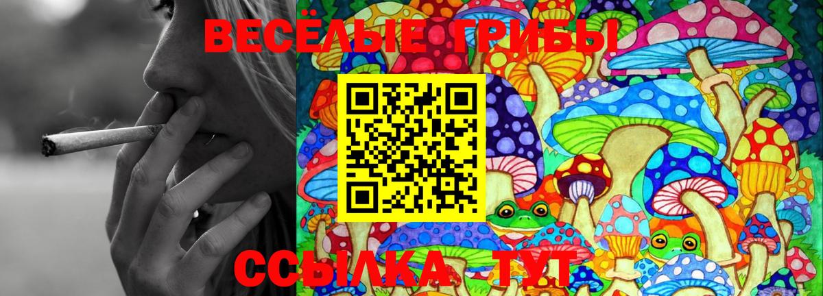 Галлюциногенные грибы Psilocybine cubensis  Псилоцибиновые грибы прущие грибы  Вольск  Вход с VPN 